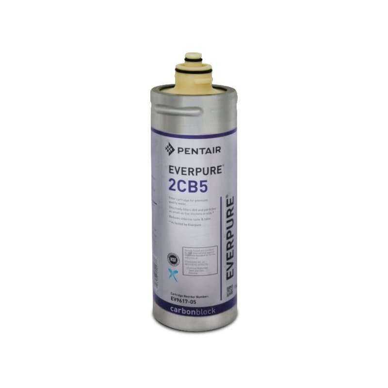 Filtro Everpure 2CB5 - EV9614-05