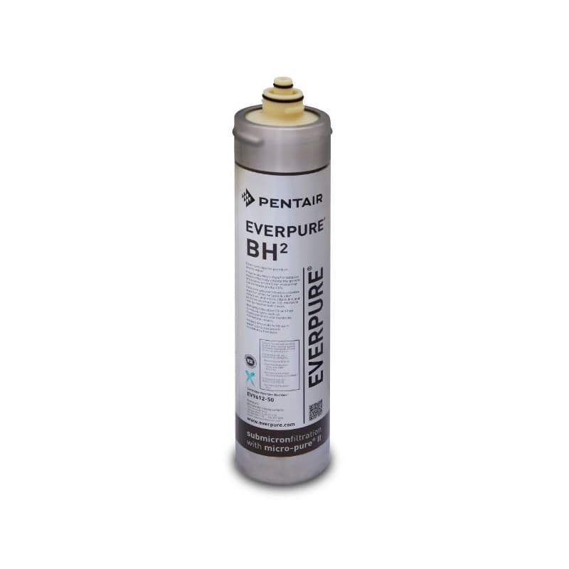Filtro Everpure BH2 - EV9612-50